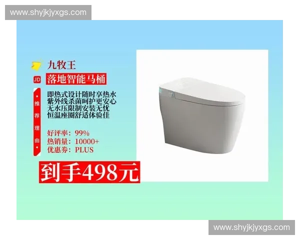 智能马桶安装调试与日常使用保养全方位图文说明指南