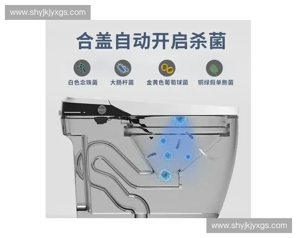 深入解析智能马桶的耗电问题及其节能使用策略与家庭能耗影响